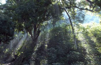 Parco Nazionale di Caguanes: storia, biodiversità e attività a Cuba