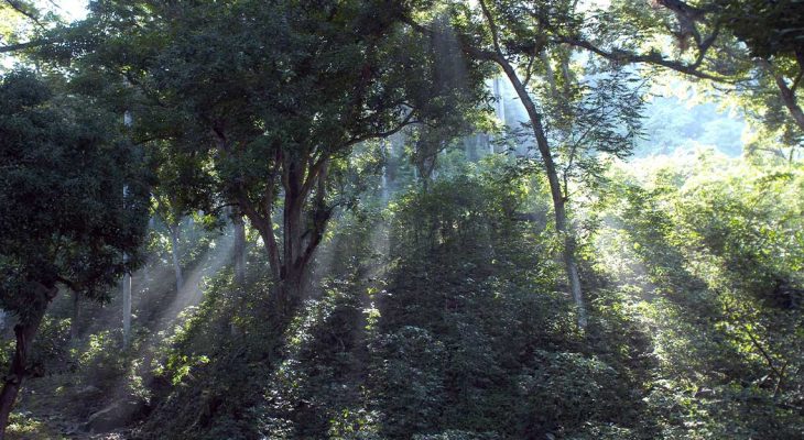 Parco Nazionale di Caguanes: storia, biodiversità e attività a Cuba