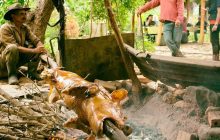 Piatti della cucina cubana: i sapori più tradizionali dell’isola